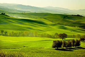 Countryside, San Quirico ´Orcia , Tuscany, Italy