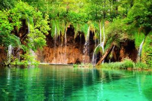 Beautiful nature